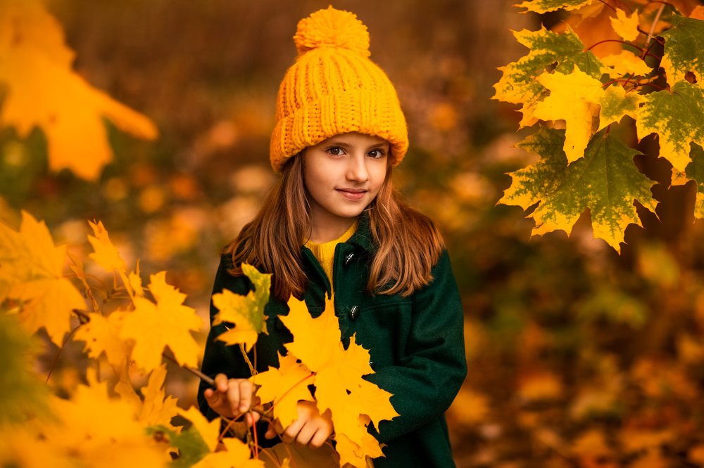 Осенние клёны