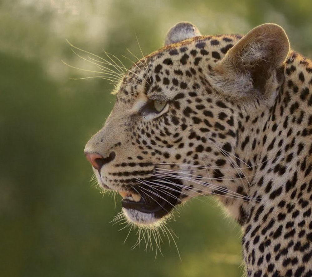 Photograph by Atul mehta