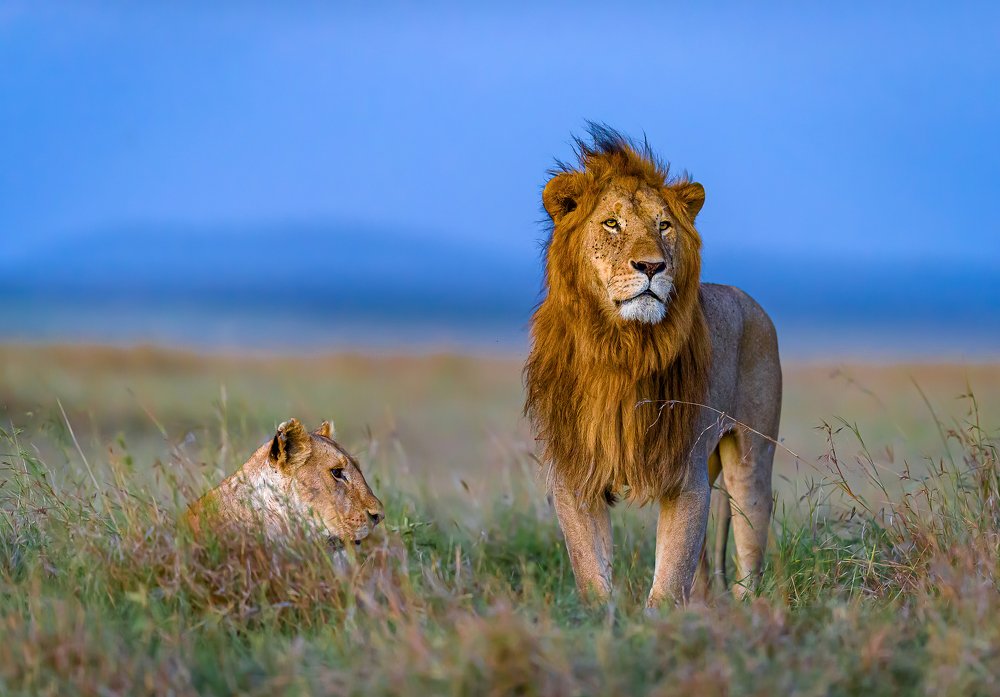 Photograph by Ruzdi Ekenheim