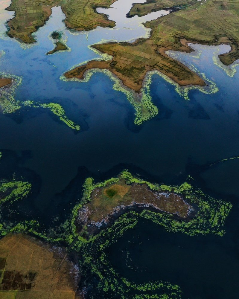 Photograph by Satyam Bhuyan