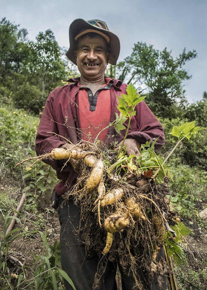 Photograph by Antonio Herrera