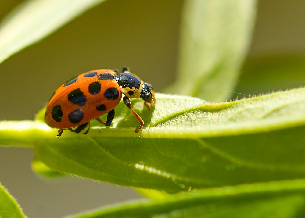 Photograph by Олег Урасов