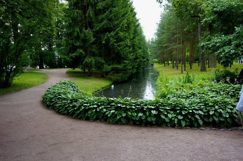 Photograph by Владимир Афанасьев