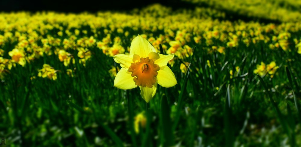 Photograph by Aleksandr Jefimov