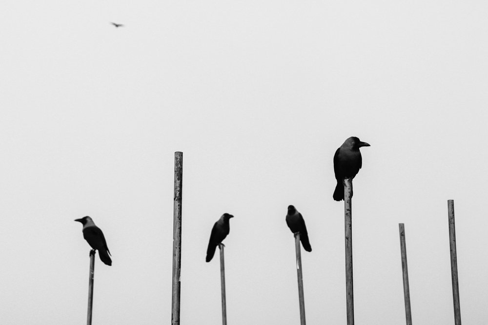 Position and Authority depends on Perspective.