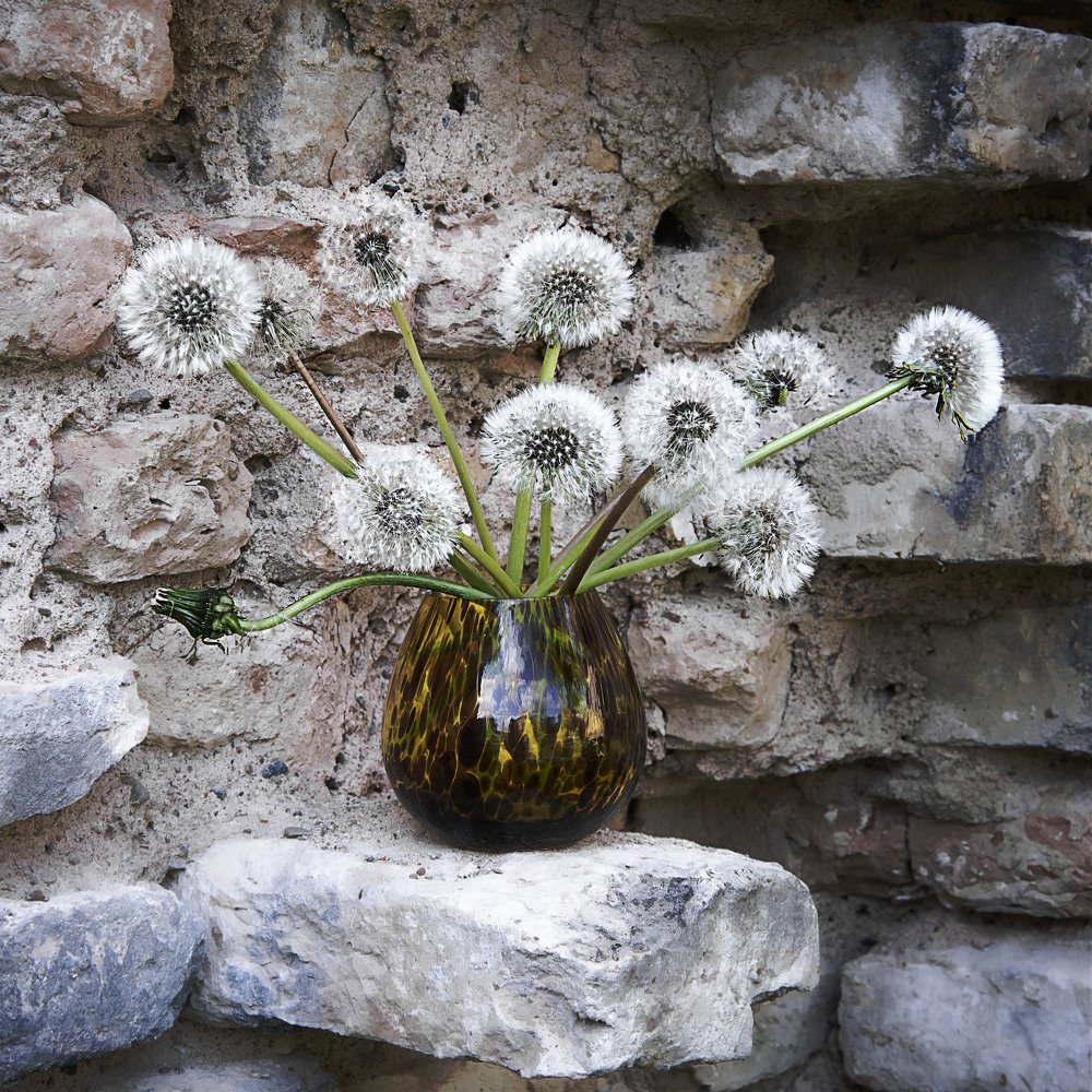 Одуванчики