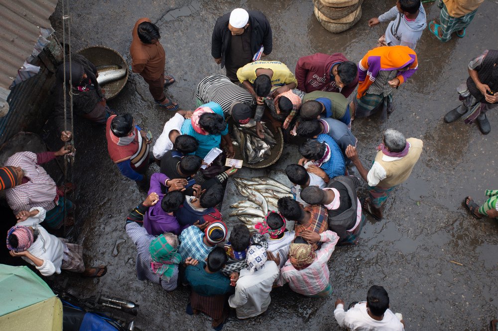 A local a fish market