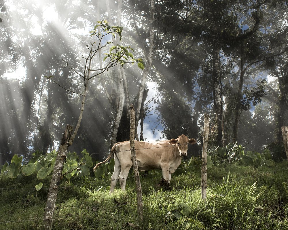 Photograph by Antonio Herrera