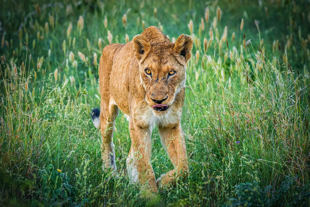 Photograph by Gagan Kaushal