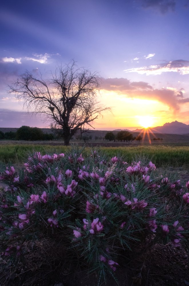 Photograph by Nima Almasi