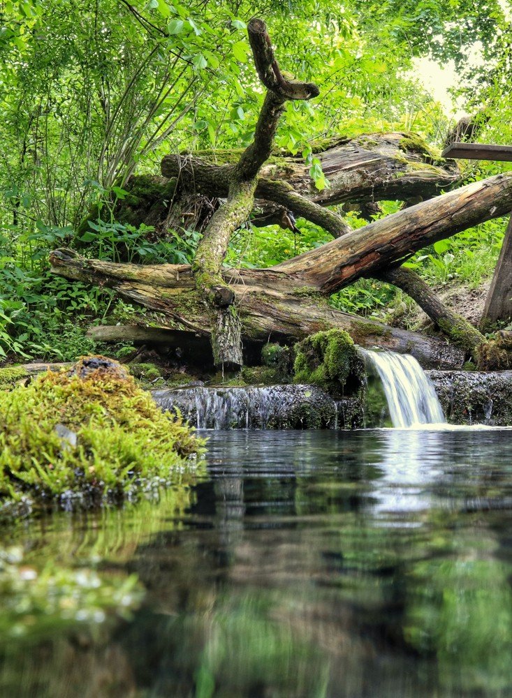 Photograph by Ирина Корабельникова