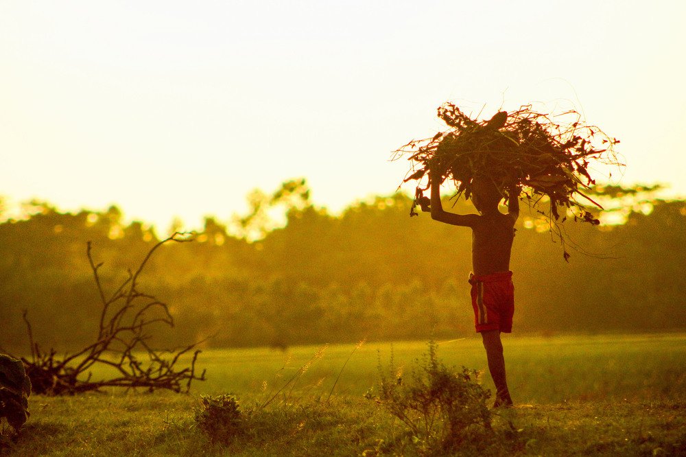 Family Child Labour