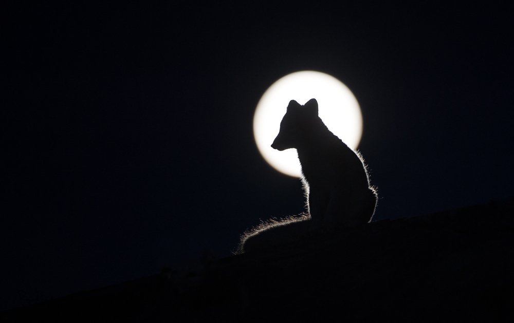 Photograph by Roger Brendhagen