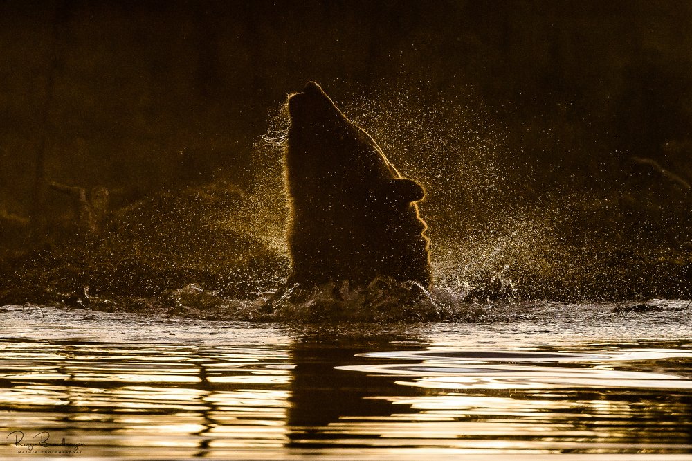 Photograph by Roger Brendhagen