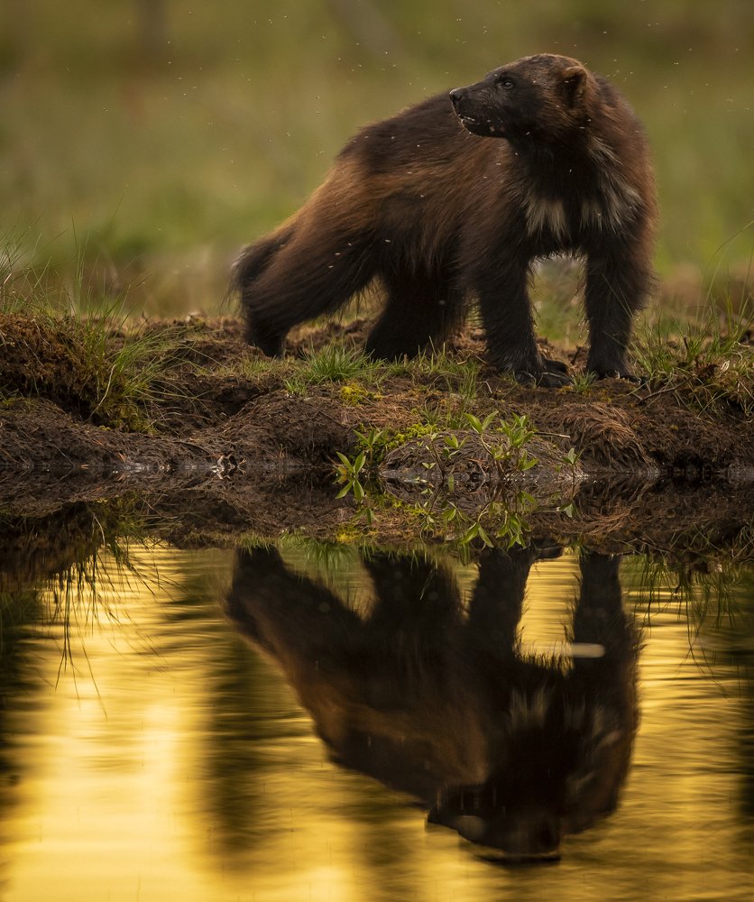 Photograph by Roger Brendhagen