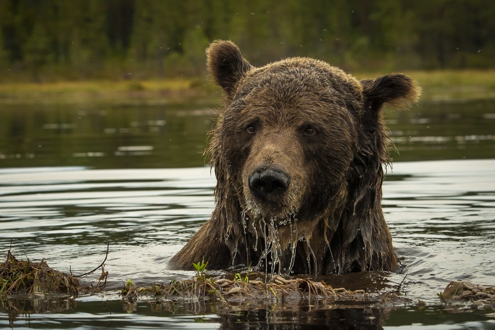 Photograph by Roger Brendhagen