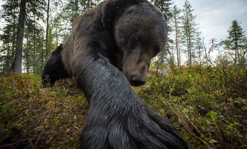 Photograph by Roger Brendhagen