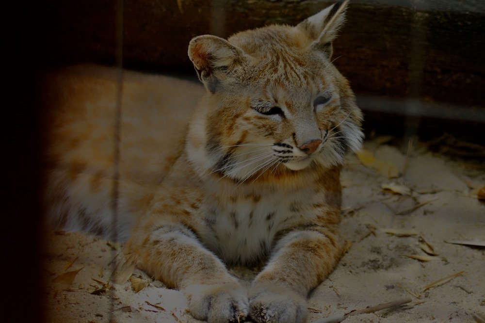 Photograph by Francisco Ferreira