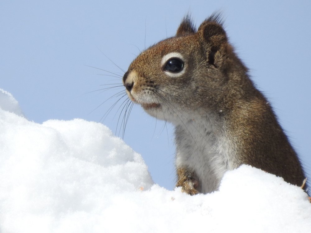 Photograph by Josée Beauchemin