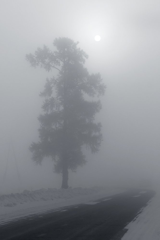 Photograph by Олег Тетерин