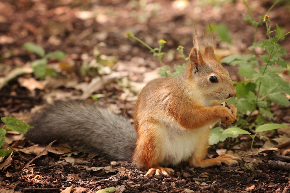 Photograph by Александр Филатов