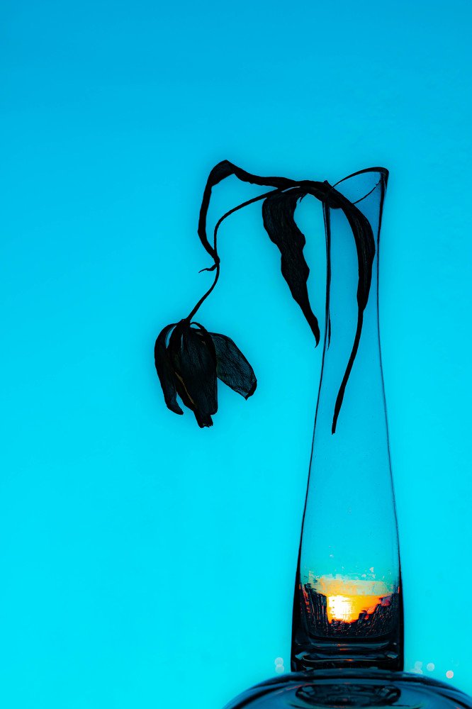 Photograph by Людмила Аксенова