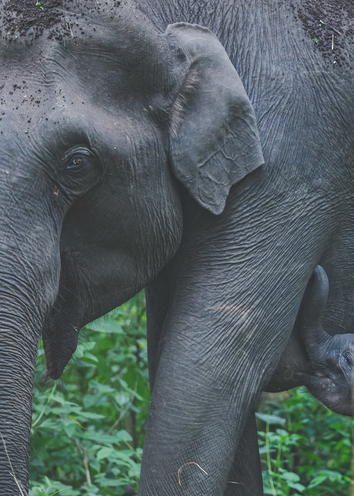 Photograph by Lionel falcao