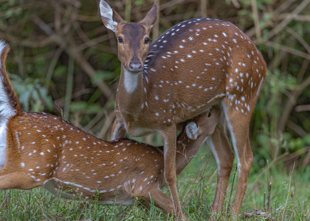 Photograph by Lionel falcao