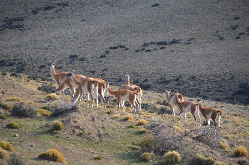 Photograph by María del Luján Tunes
