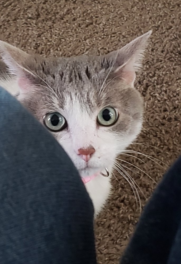 I still still watching you. Hmmm