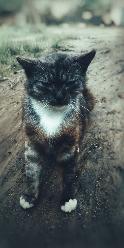 Photograph by Юлия Марфонова