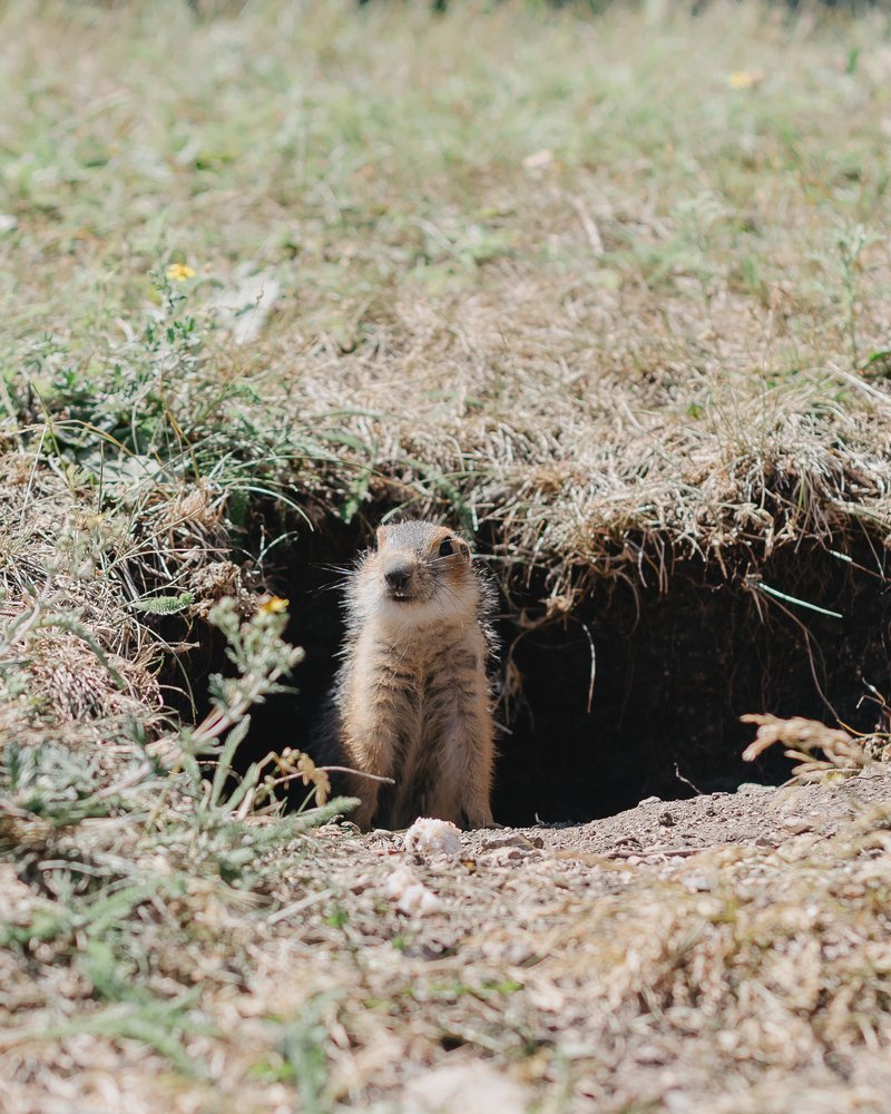 Photograph by Екатерина Иванова