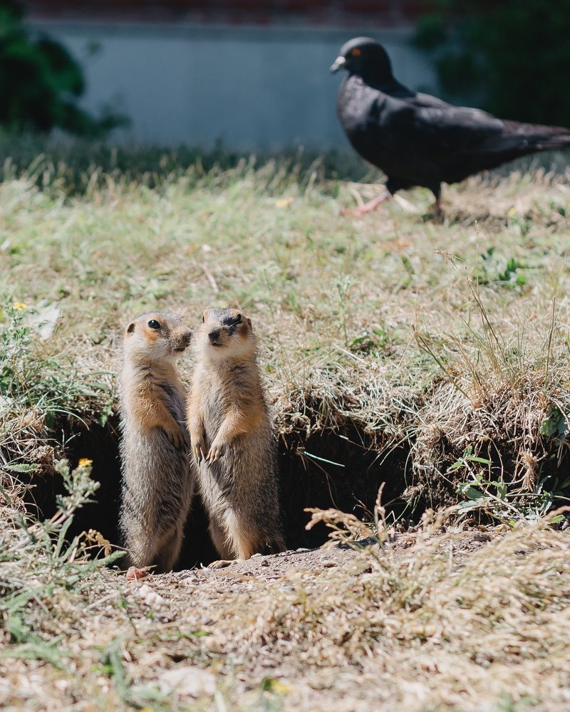 Photograph by Екатерина Иванова