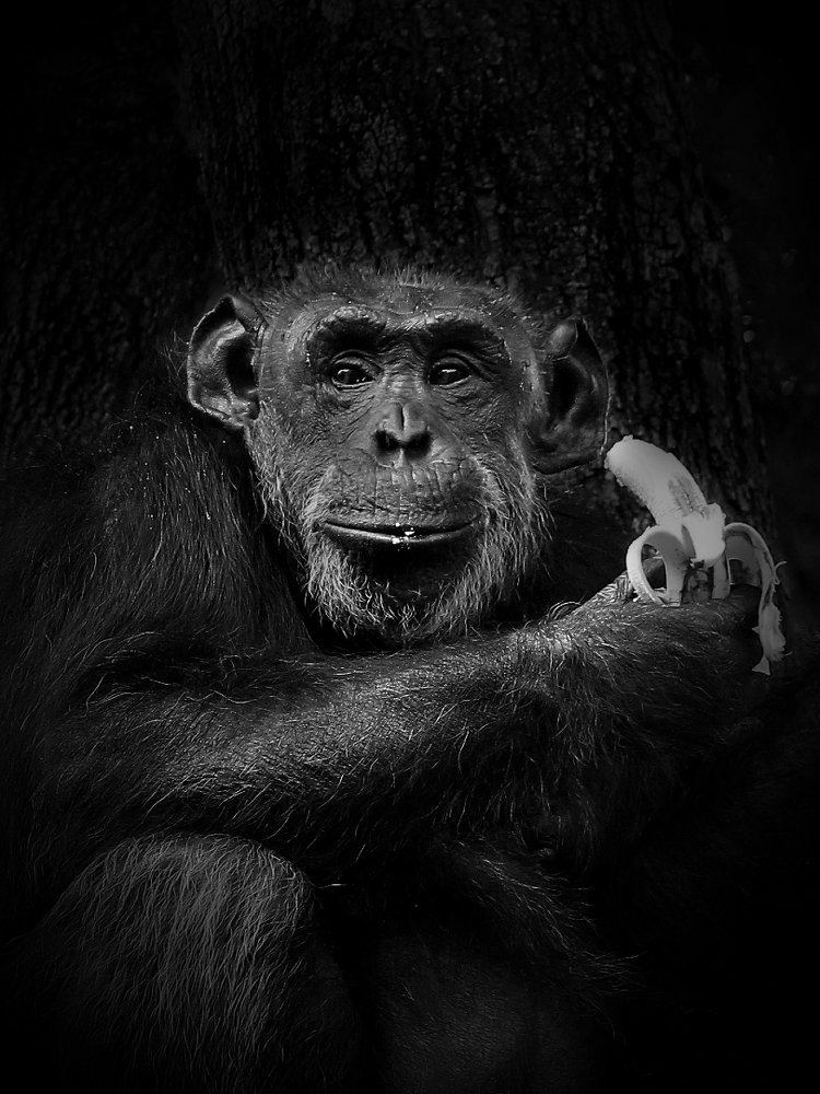 Фотография автора Sourav Mookherjee