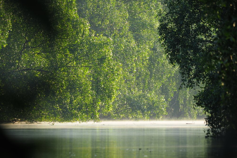 Photograph by Abie za