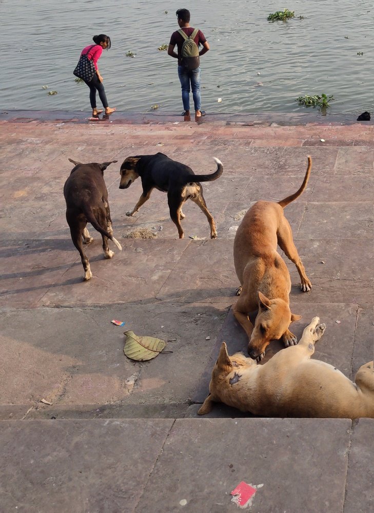 Photograph by Debratna Ghosh