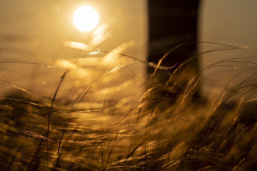 Фотография автора Андрей Логвинович