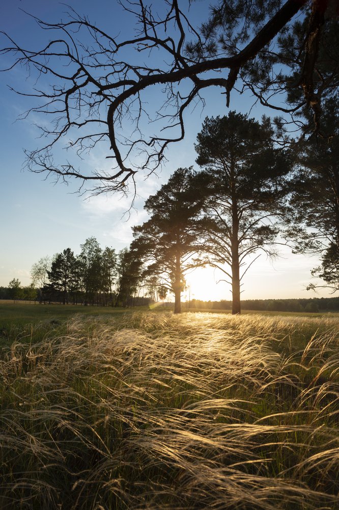 Фотография автора Андрей Логвинович