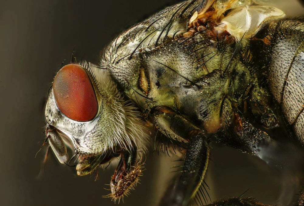 Photograph by Сергей Прокофьев