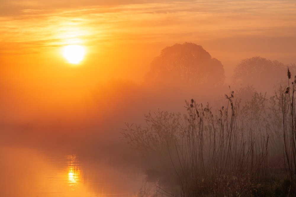 Photograph by Евгений Новицкий