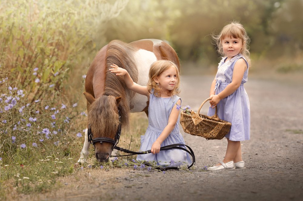 Photograph by Sona Komarkova