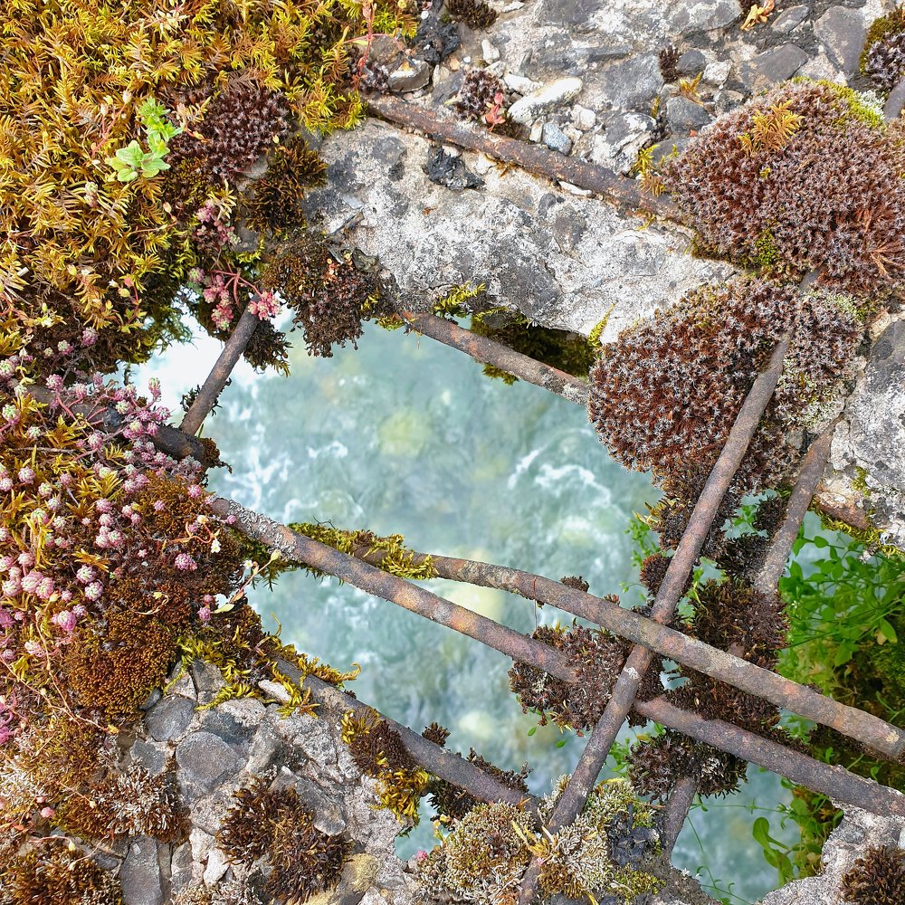 Красота под ногами