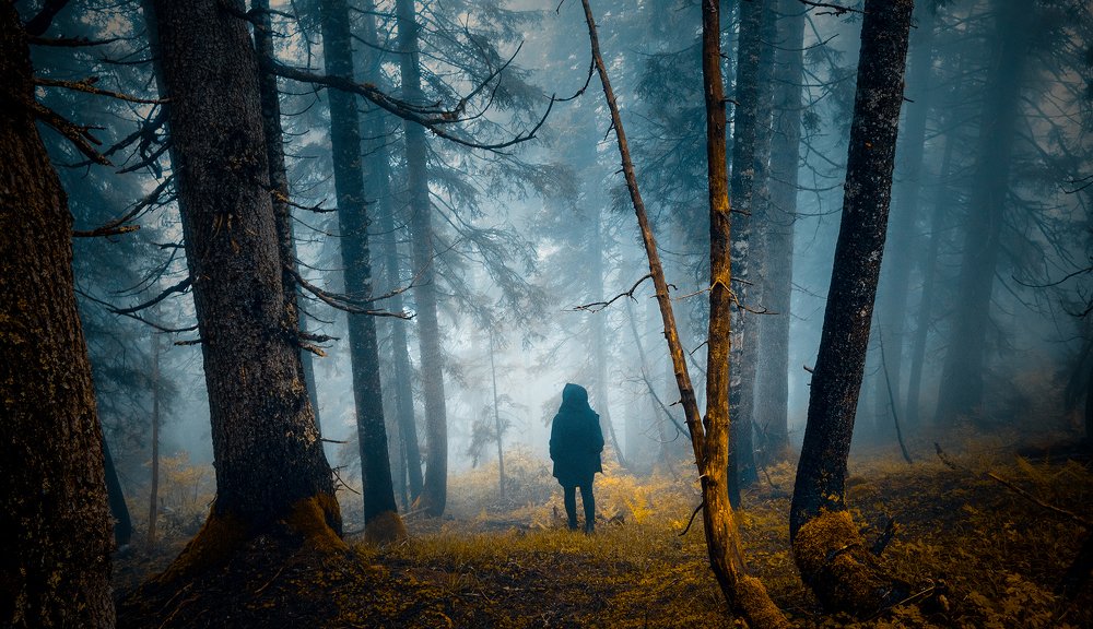 Photograph by Emrah Karakoç