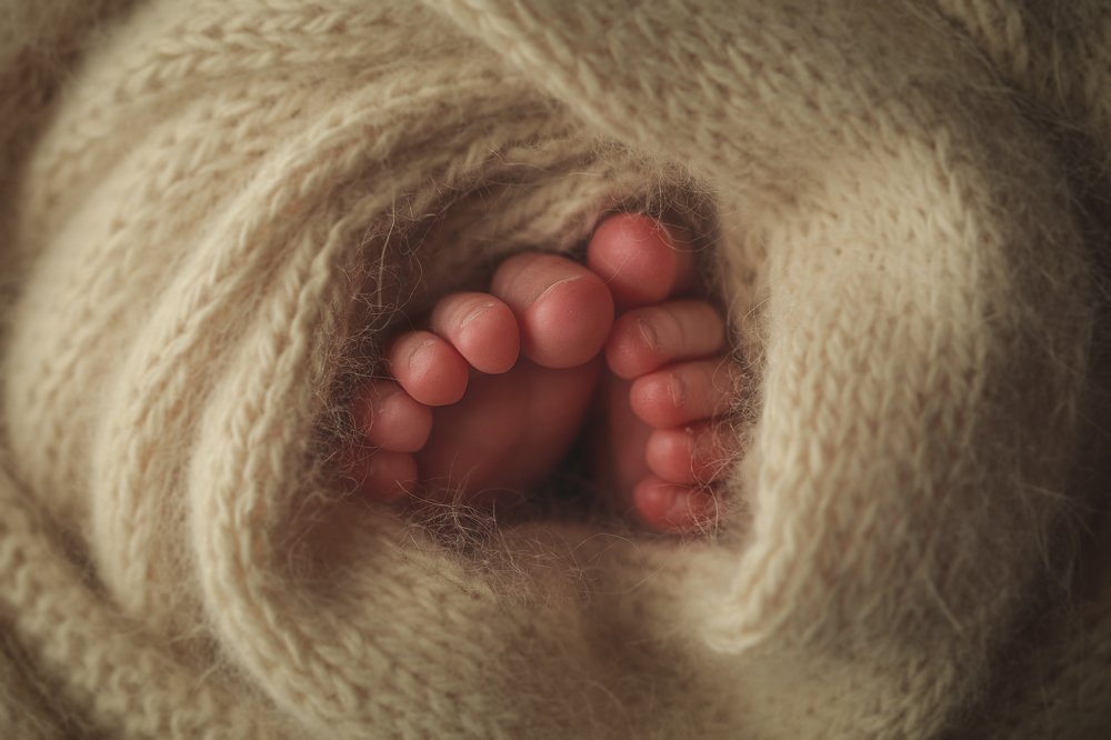 Photograph by Анастасия Лебедева