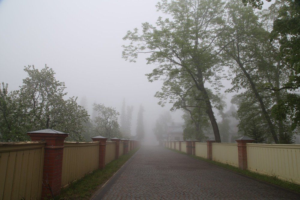 Photograph by Елена Береславская