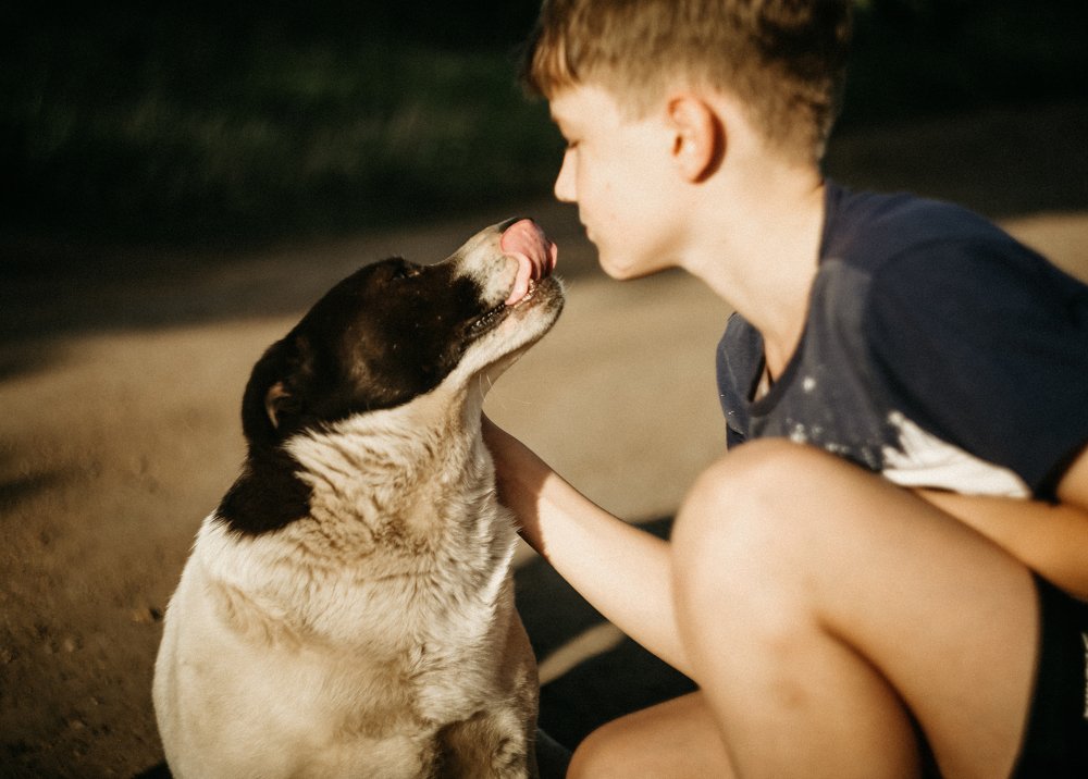 Photograph by Алена Ишметова