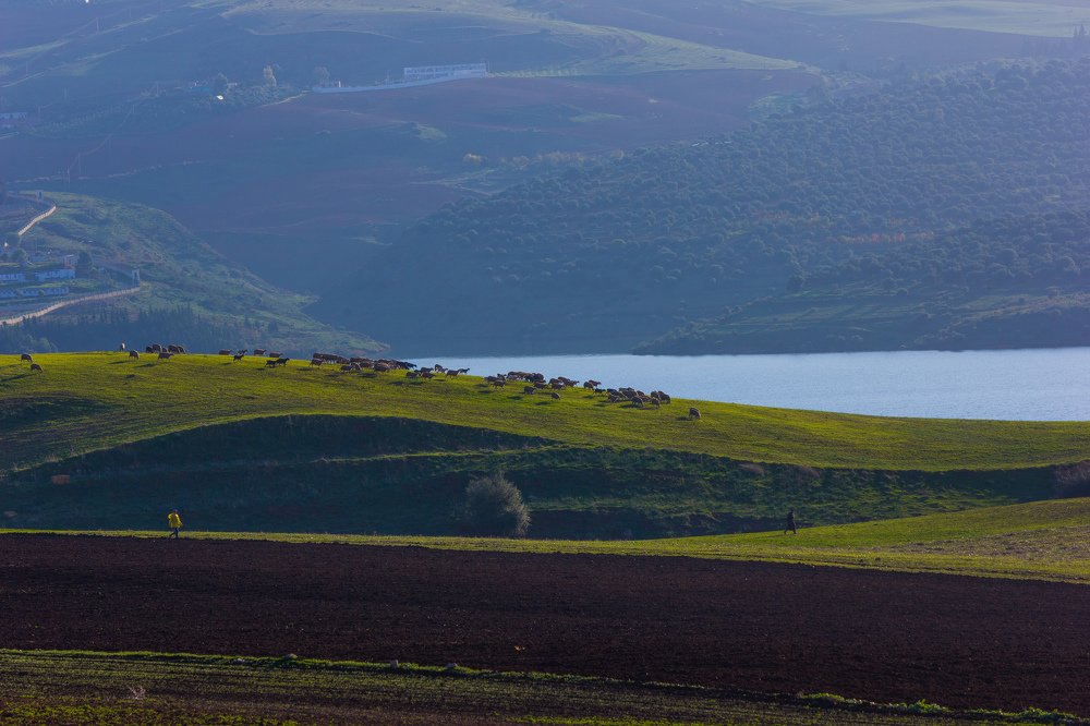 from bni haroun , mila , algeria