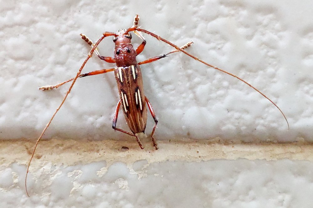 Photograph by Marzio Fattorini