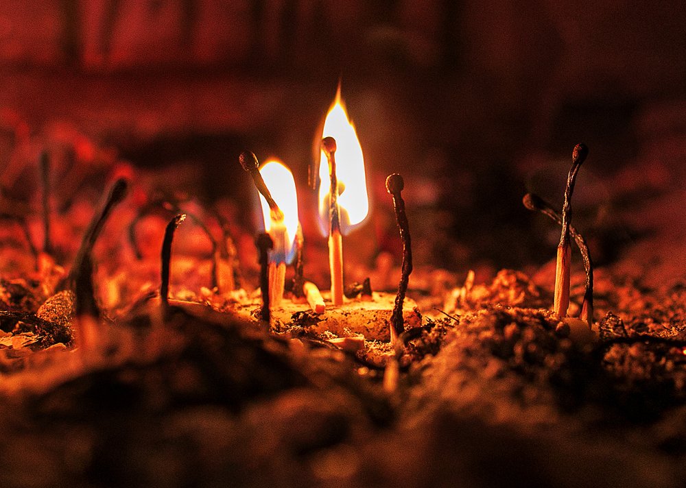 Photograph by Александра Свенская