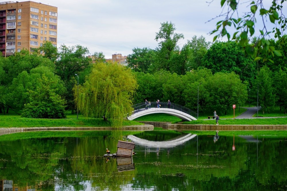 Photograph by Виолетта Шанина